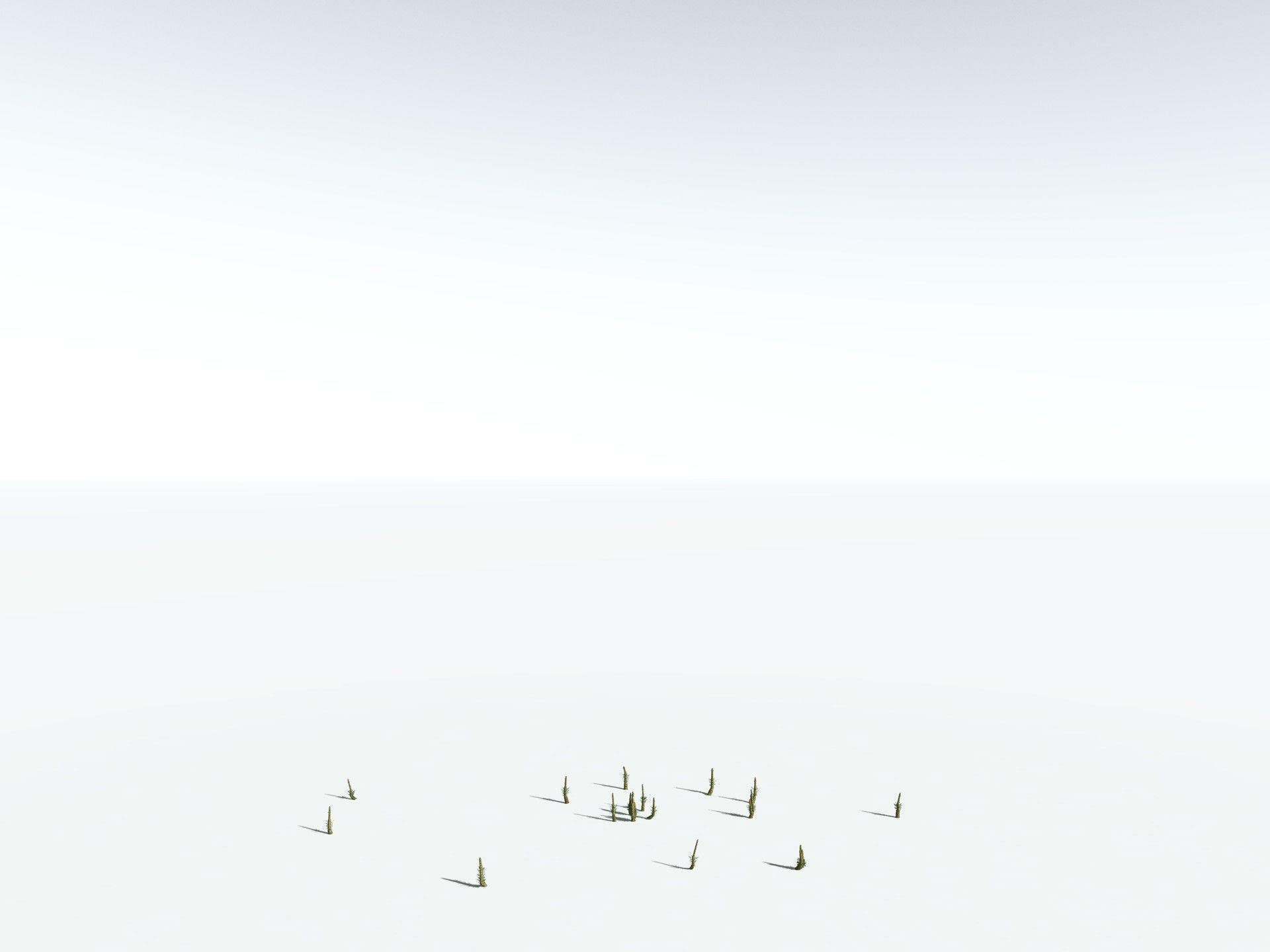 EVERYPlant Calamites Suckowii 3D model_28