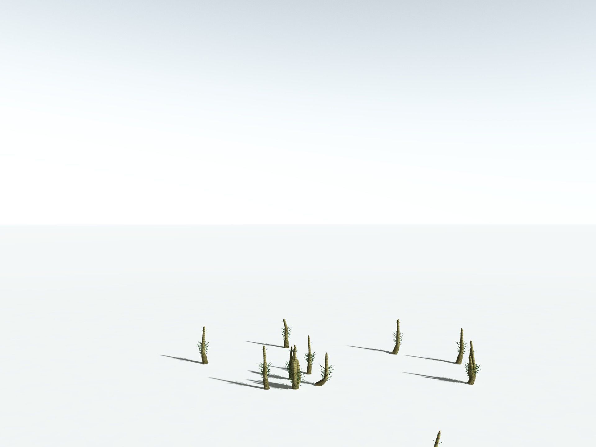 EVERYPlant Calamites Suckowii 3D model_29