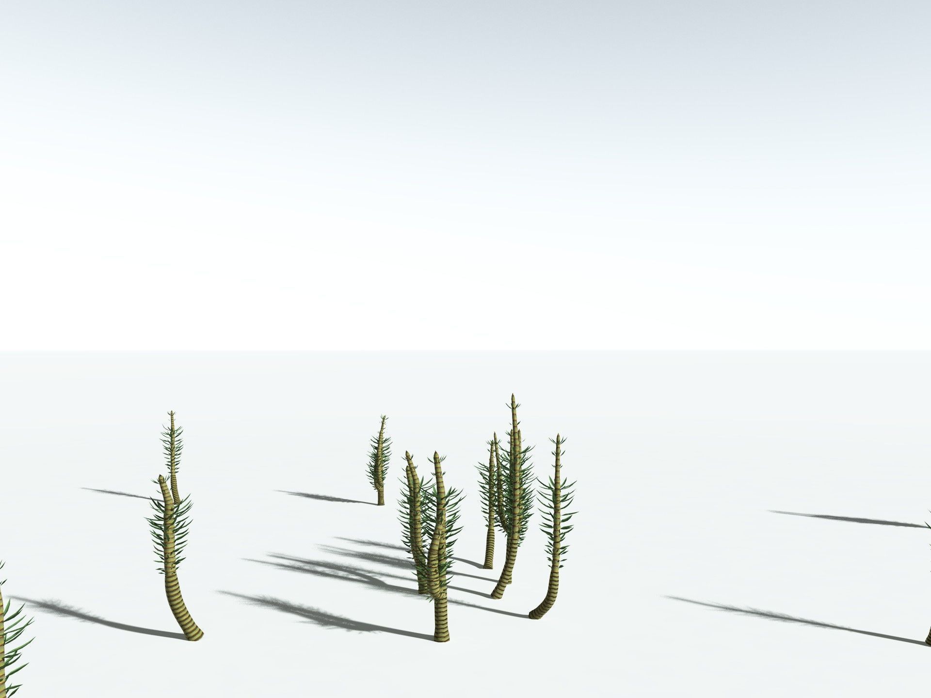 EVERYPlant Calamites Suckowii 3D model_27