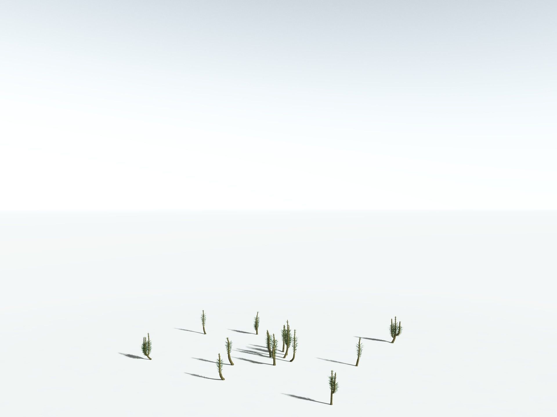 EVERYPlant Calamites Suckowii 3D model_26