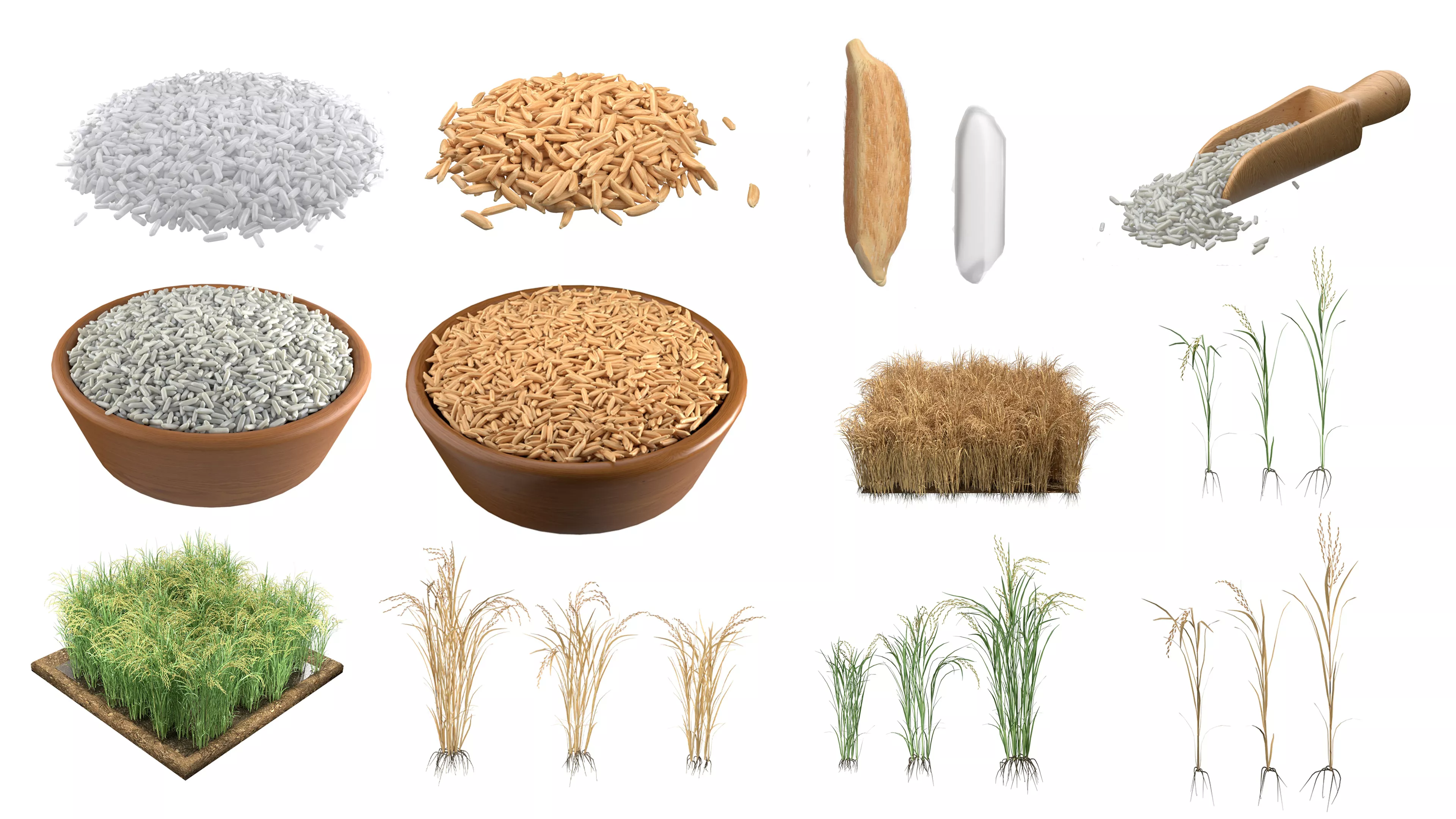 Rice grain and crop mega collection Low-poly 3D model
