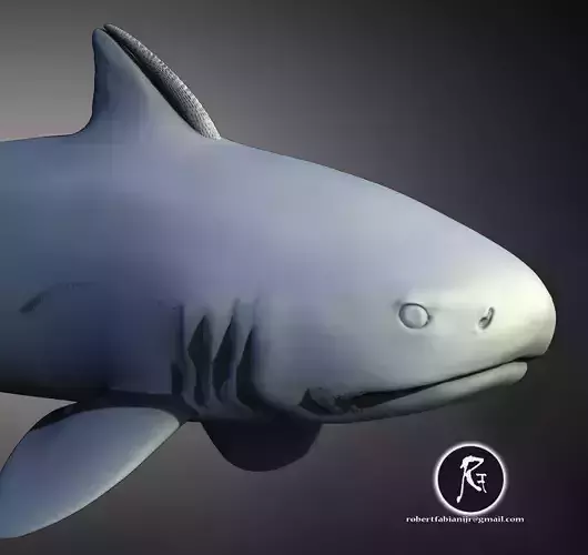 Asteracanthus  The Spined Sentinel of Jurassic Seas