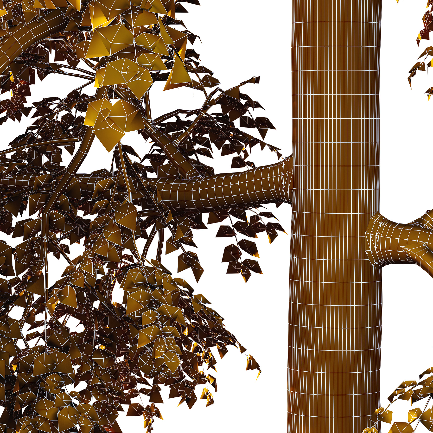 Alder Tree 02 3D model_3