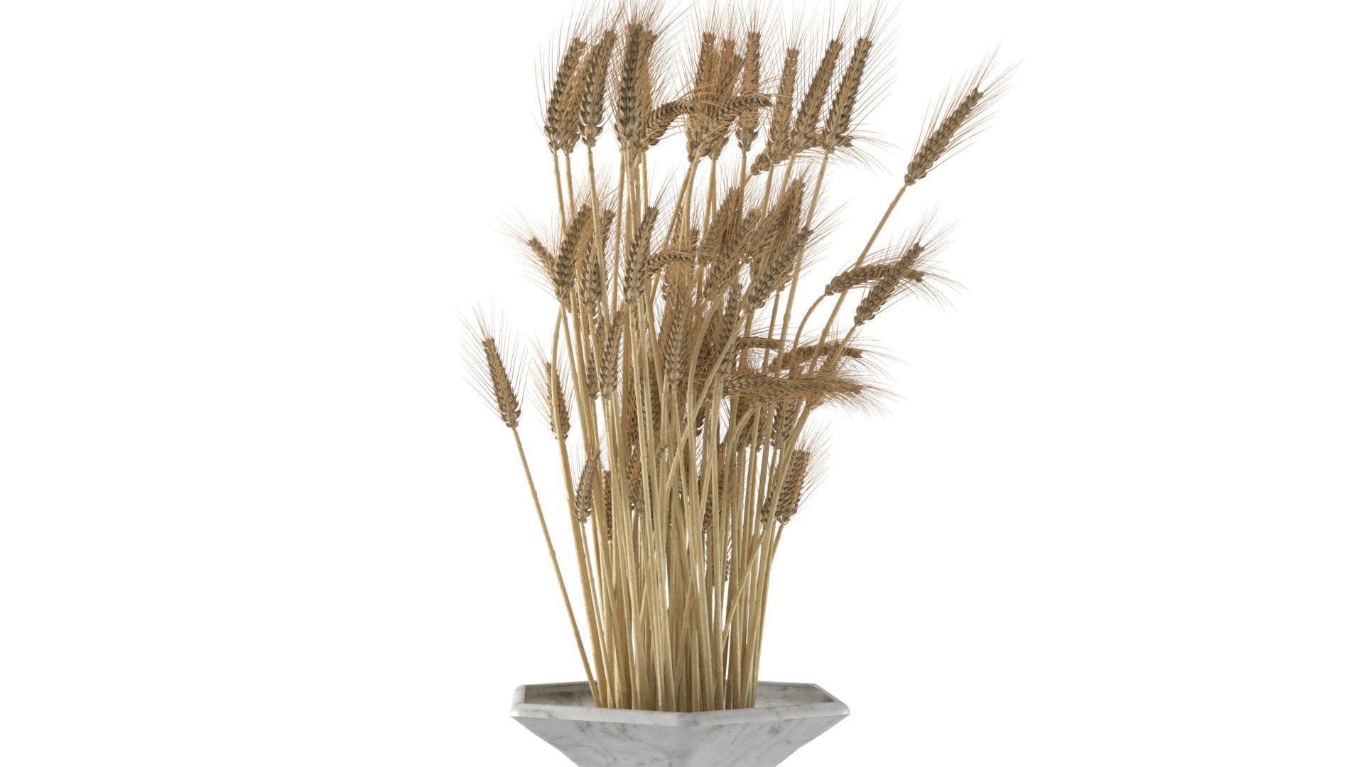 Wheat vase collection Low-poly 3D model_7
