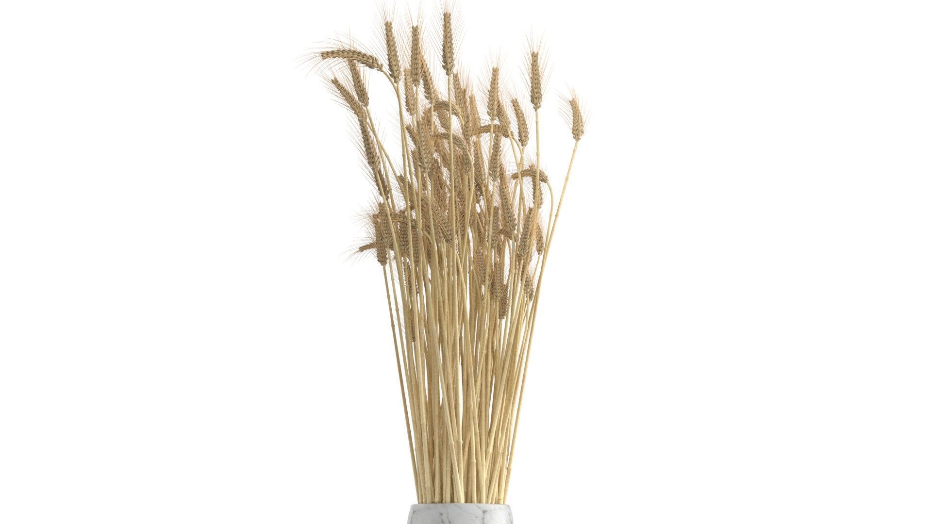 Wheat vase collection Low-poly 3D model_8