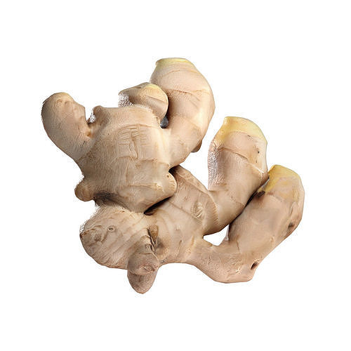 Ginger v2 Low-poly 3D model