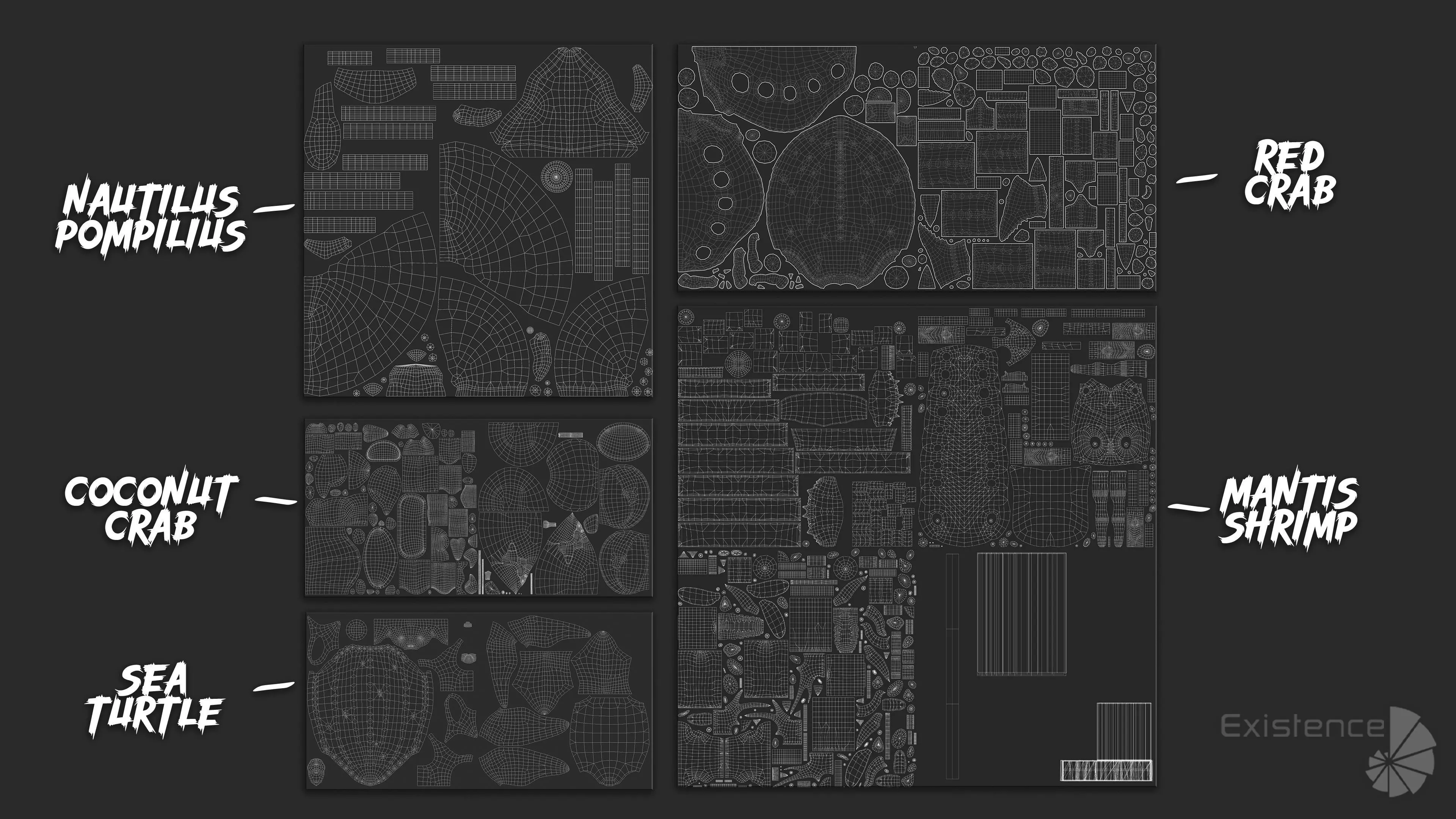 Crab - Coconut Crab - Mantis Shrimp - Sea Turtle - Nautilus - 70 Low-poly 3D model_30