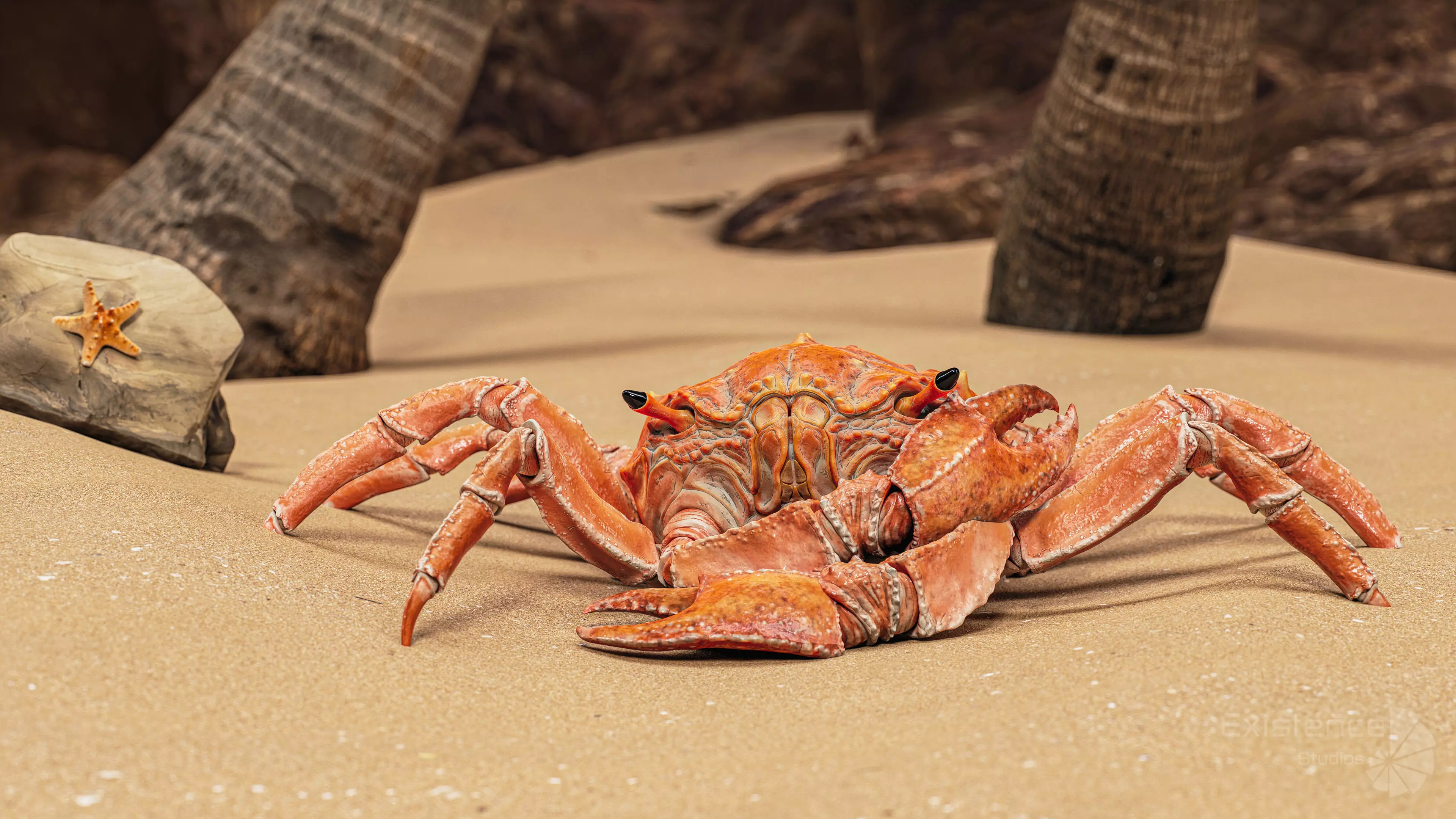 Crab - Coconut Crab - Mantis Shrimp - Sea Turtle - Nautilus - 70 Low-poly 3D model_28