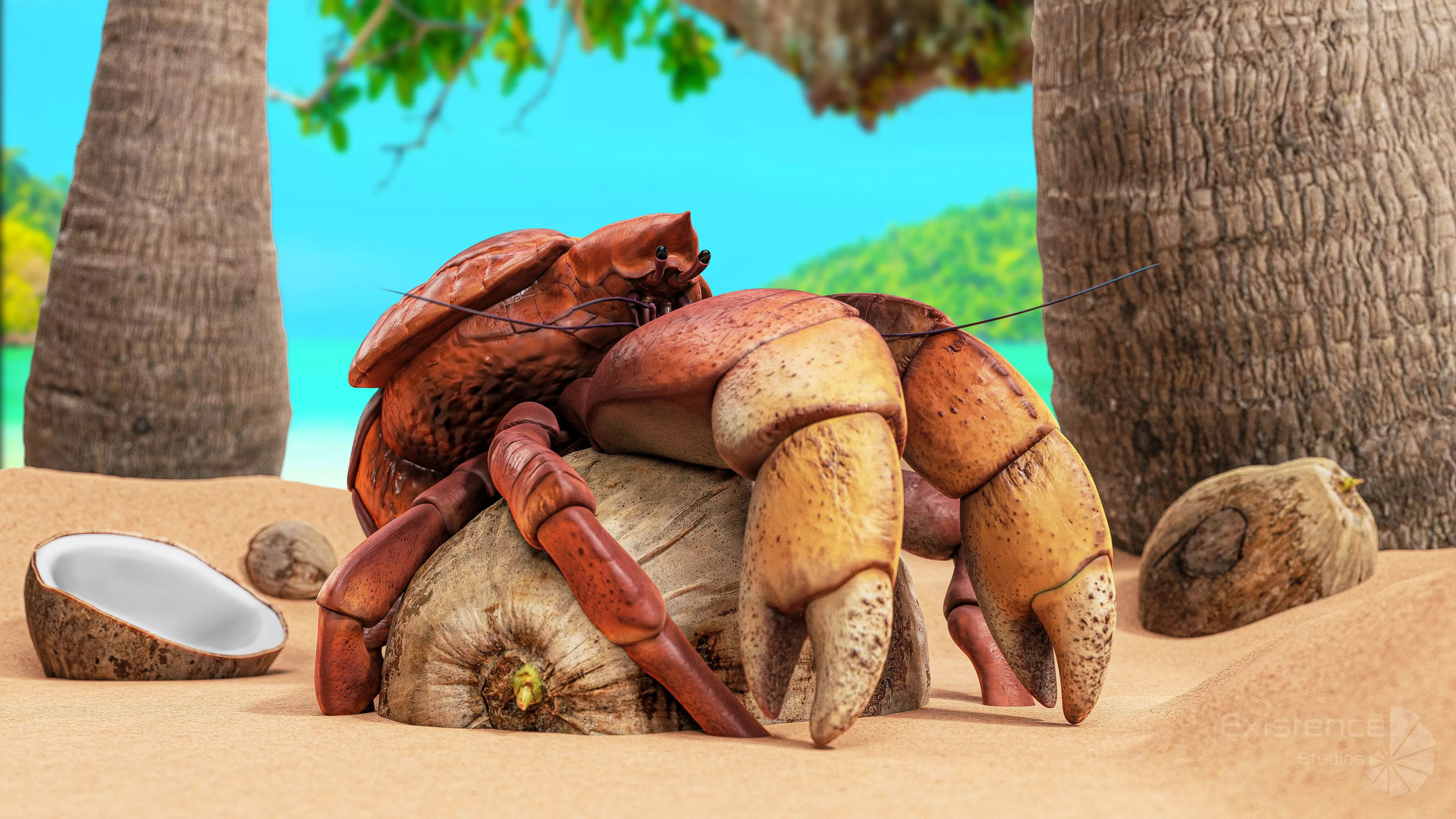 Crab - Coconut Crab - Mantis Shrimp - Sea Turtle - Nautilus - 70 Low-poly 3D model_21