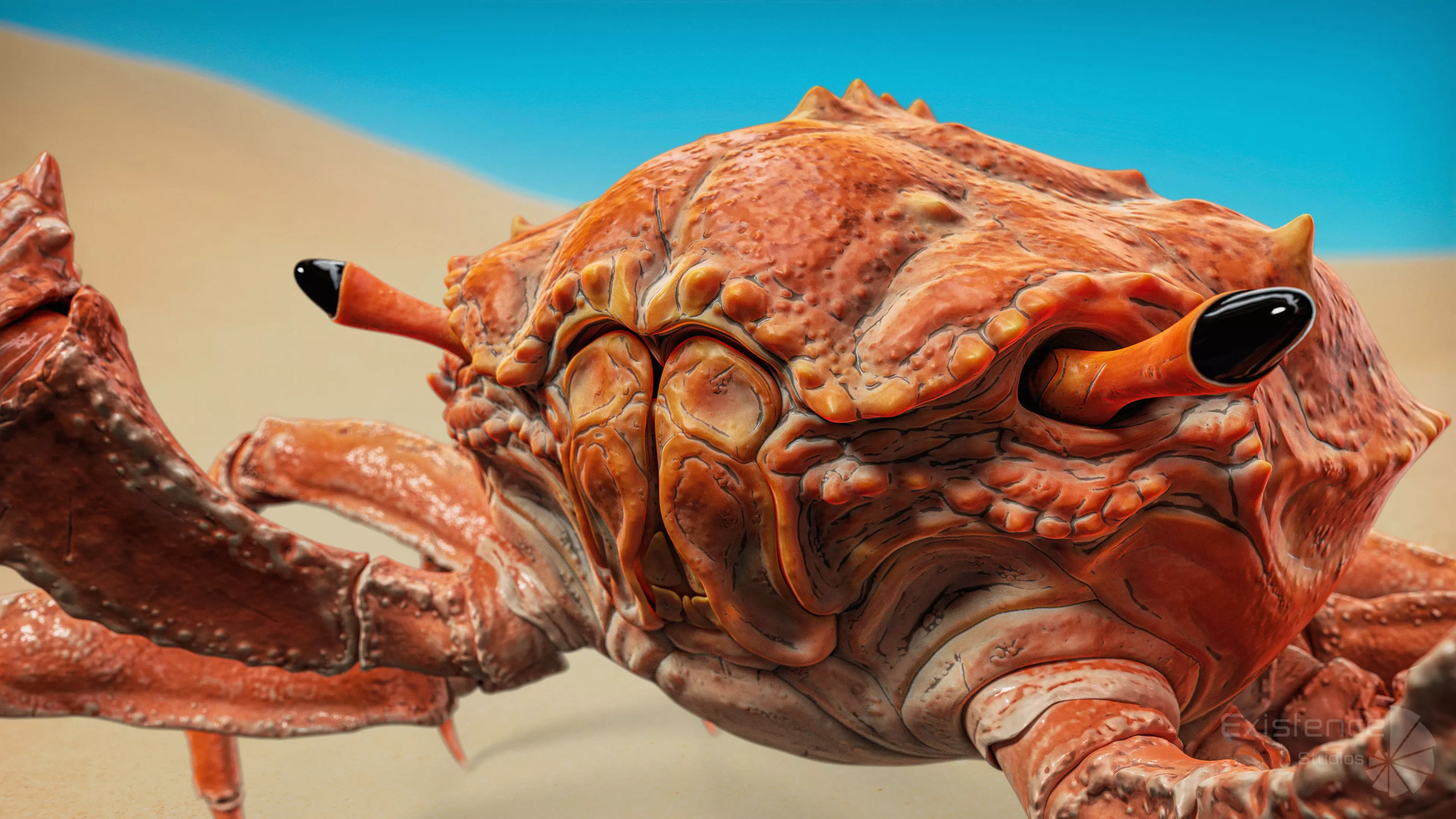 Crab - Coconut Crab - Mantis Shrimp - Sea Turtle - Nautilus - 70 Low-poly 3D model_27