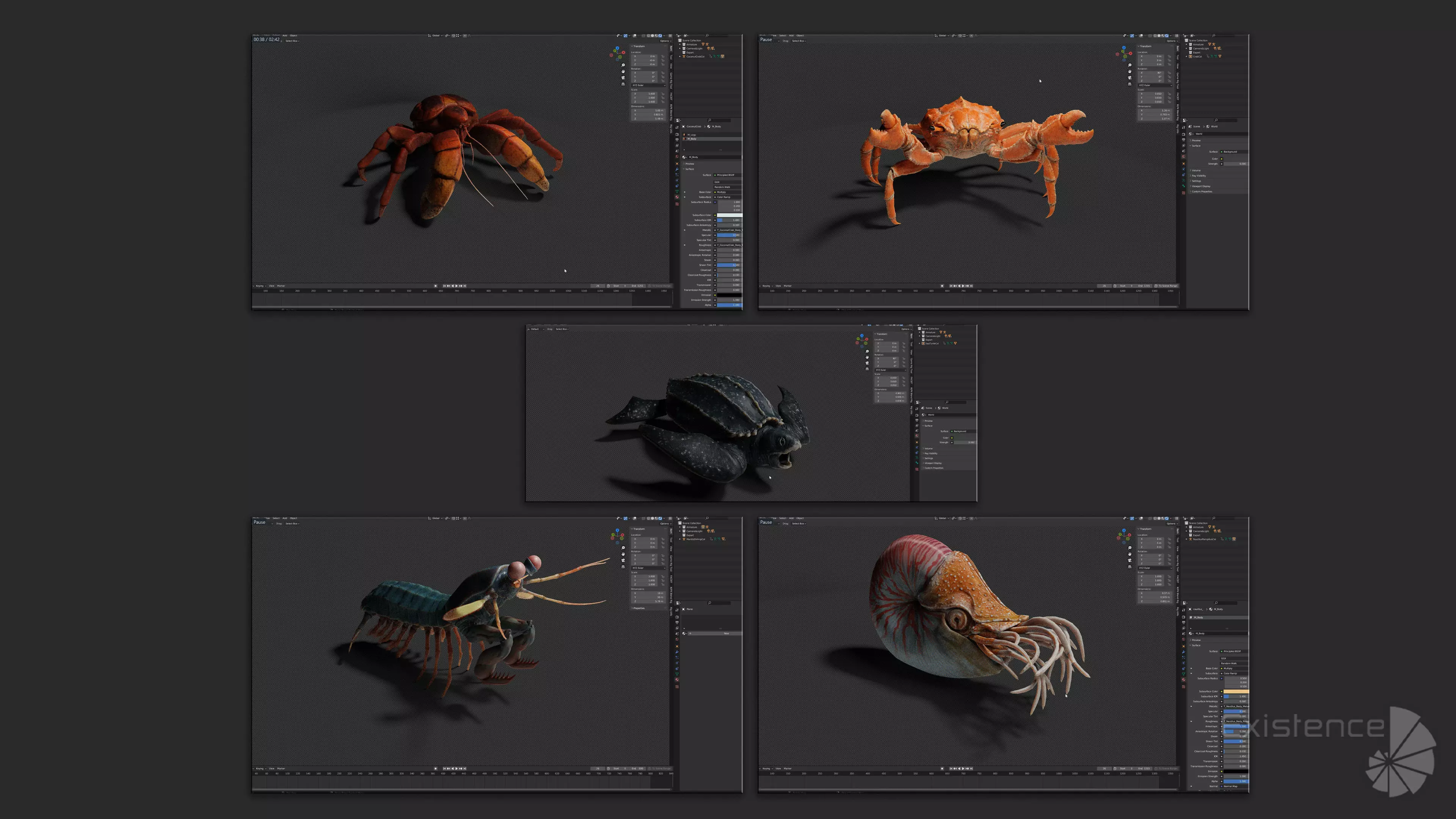 Crab - Coconut Crab - Mantis Shrimp - Sea Turtle - Nautilus - 70 Low-poly 3D model_18