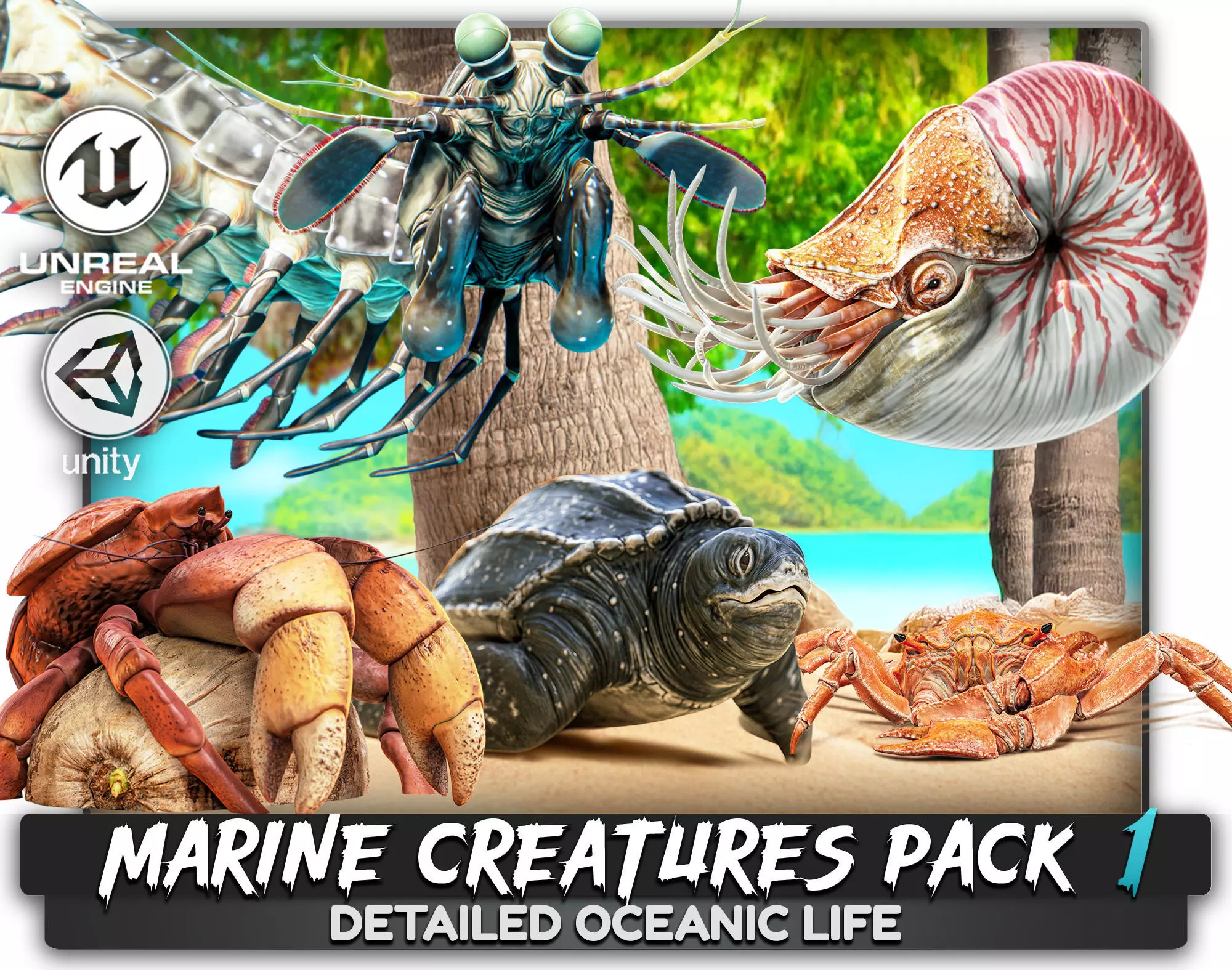 Crab - Coconut Crab - Mantis Shrimp - Sea Turtle - Nautilus - 70 Low-poly 3D model_0