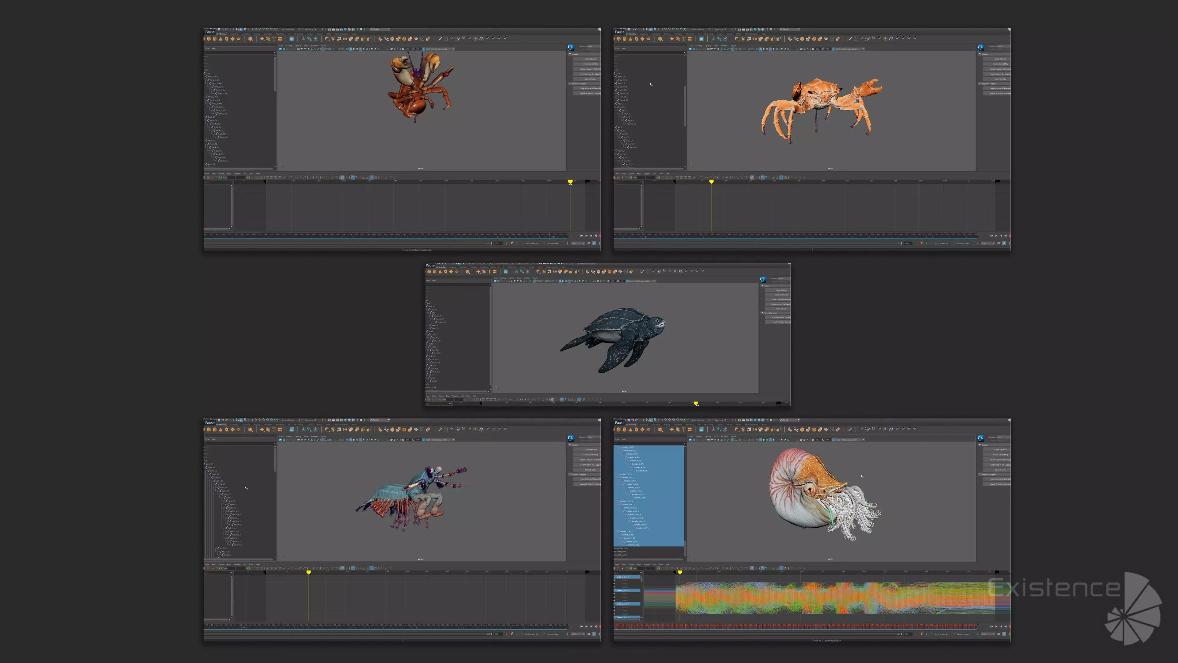 Crab - Coconut Crab - Mantis Shrimp - Sea Turtle - Nautilus - 70 Low-poly 3D model_17