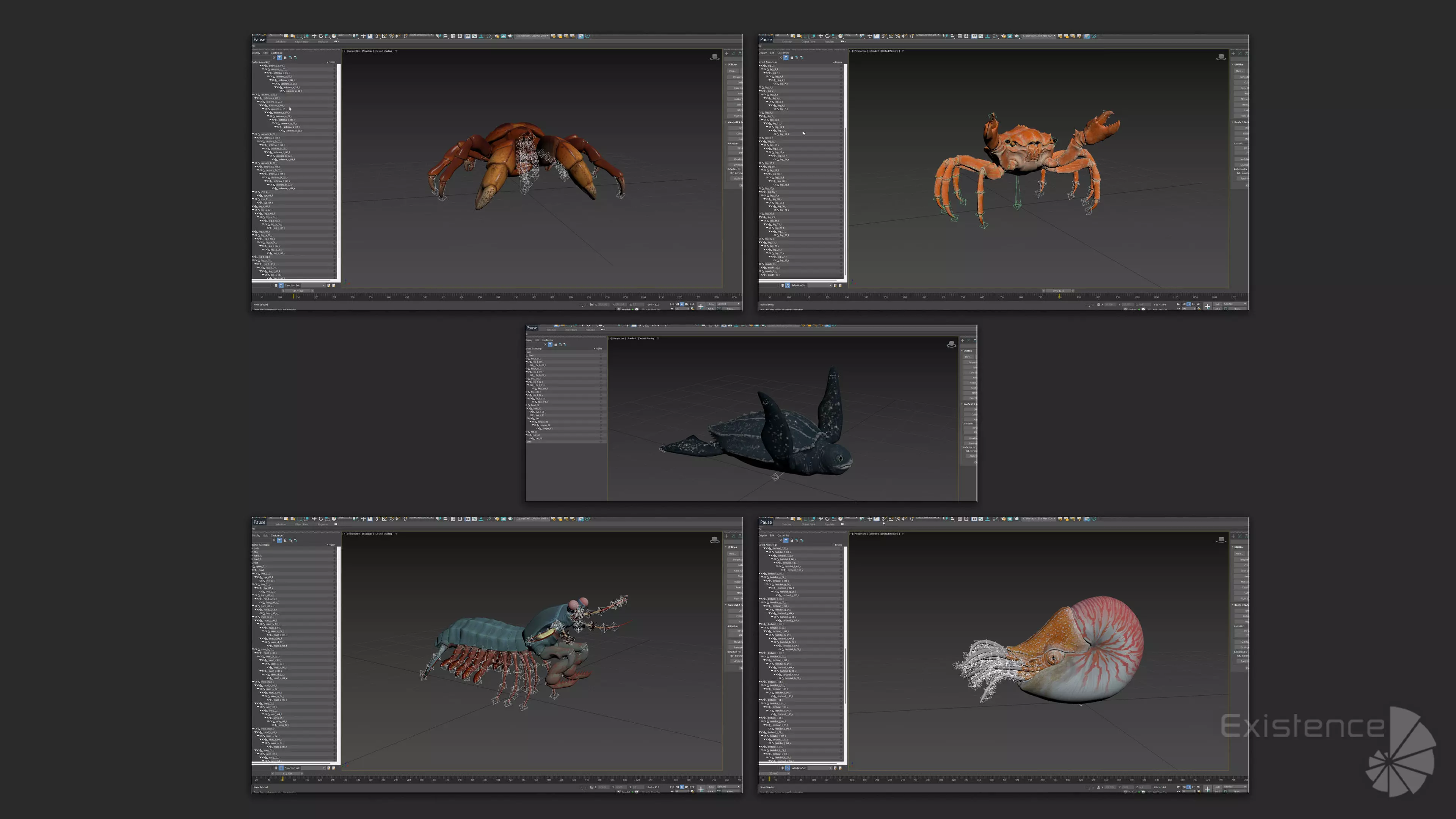 Crab - Coconut Crab - Mantis Shrimp - Sea Turtle - Nautilus - 70 Low-poly 3D model_16