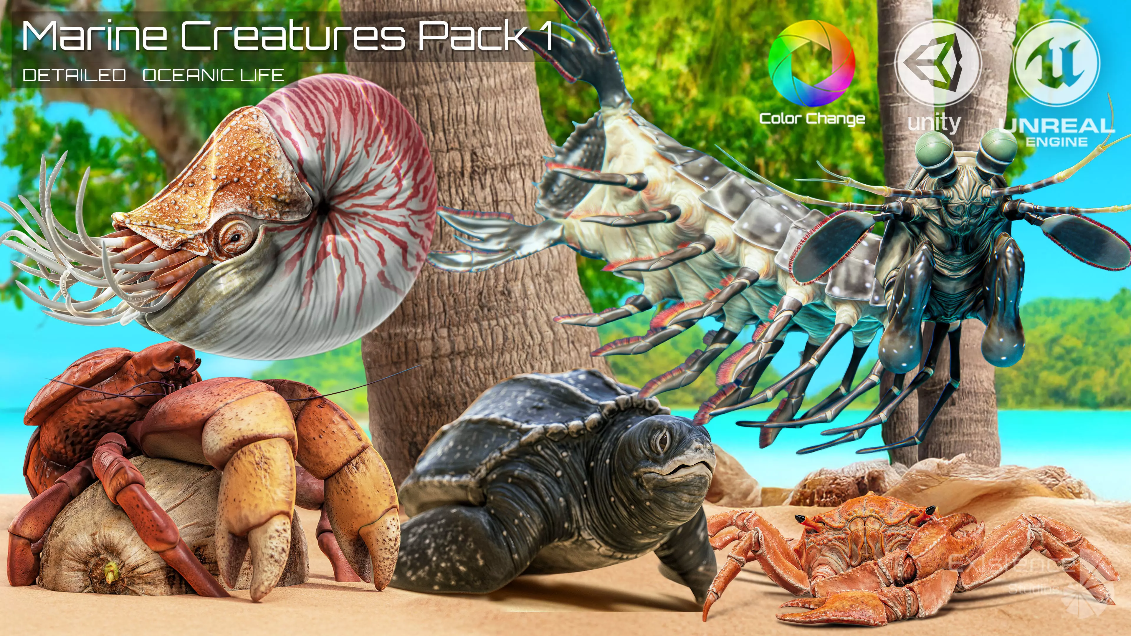 Crab - Coconut Crab - Mantis Shrimp - Sea Turtle - Nautilus - 70 Low-poly 3D model_2