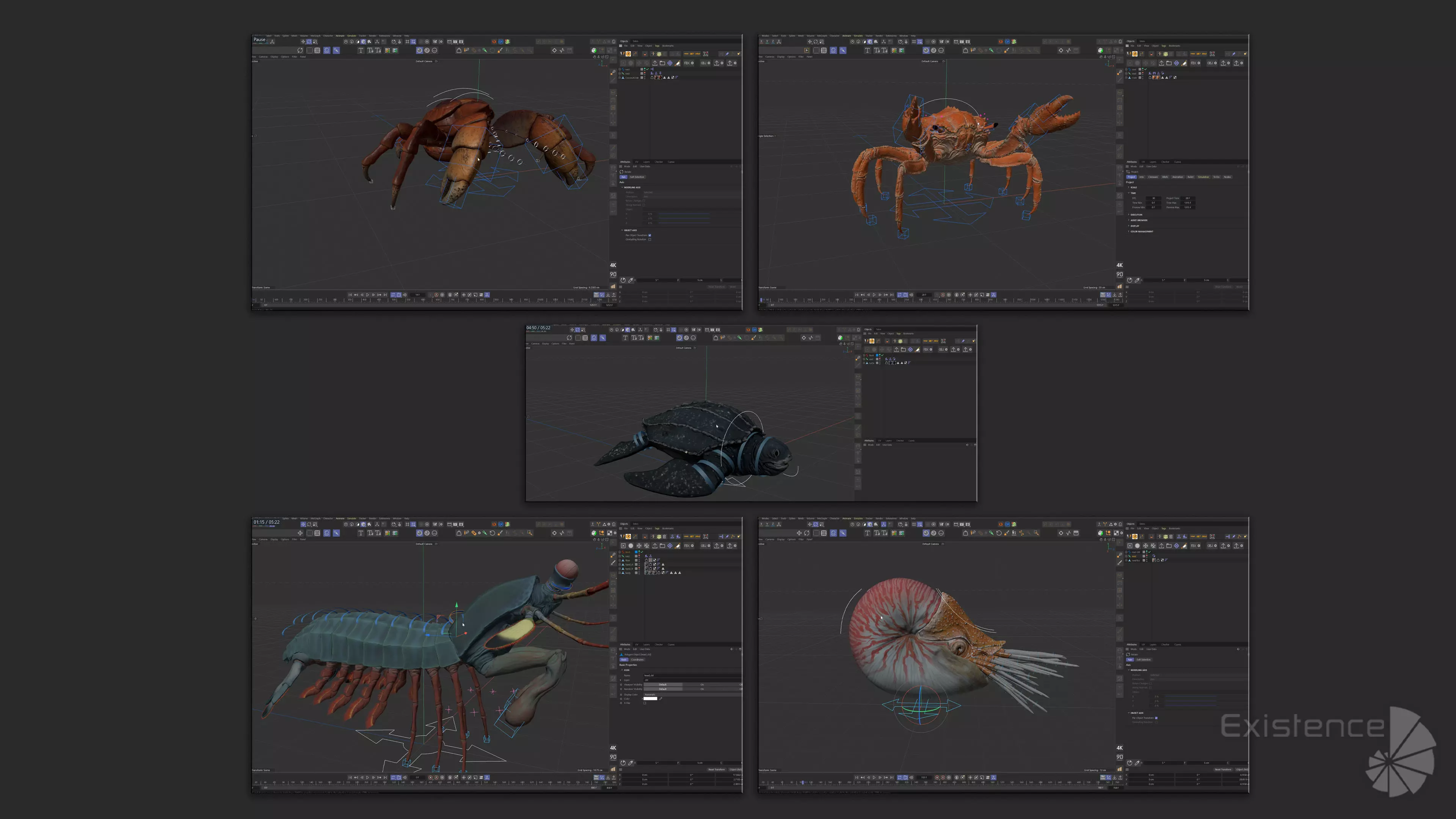 Crab - Coconut Crab - Mantis Shrimp - Sea Turtle - Nautilus - 70 Low-poly 3D model_19