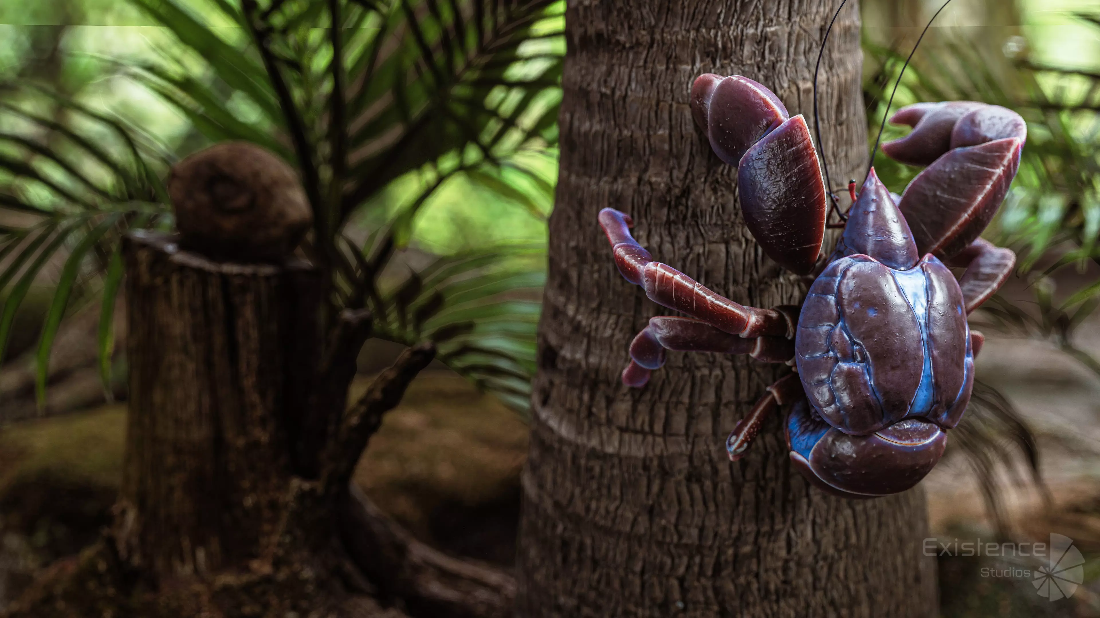 Crab - Coconut Crab - Mantis Shrimp - Sea Turtle - Nautilus - 70 Low-poly 3D model_22
