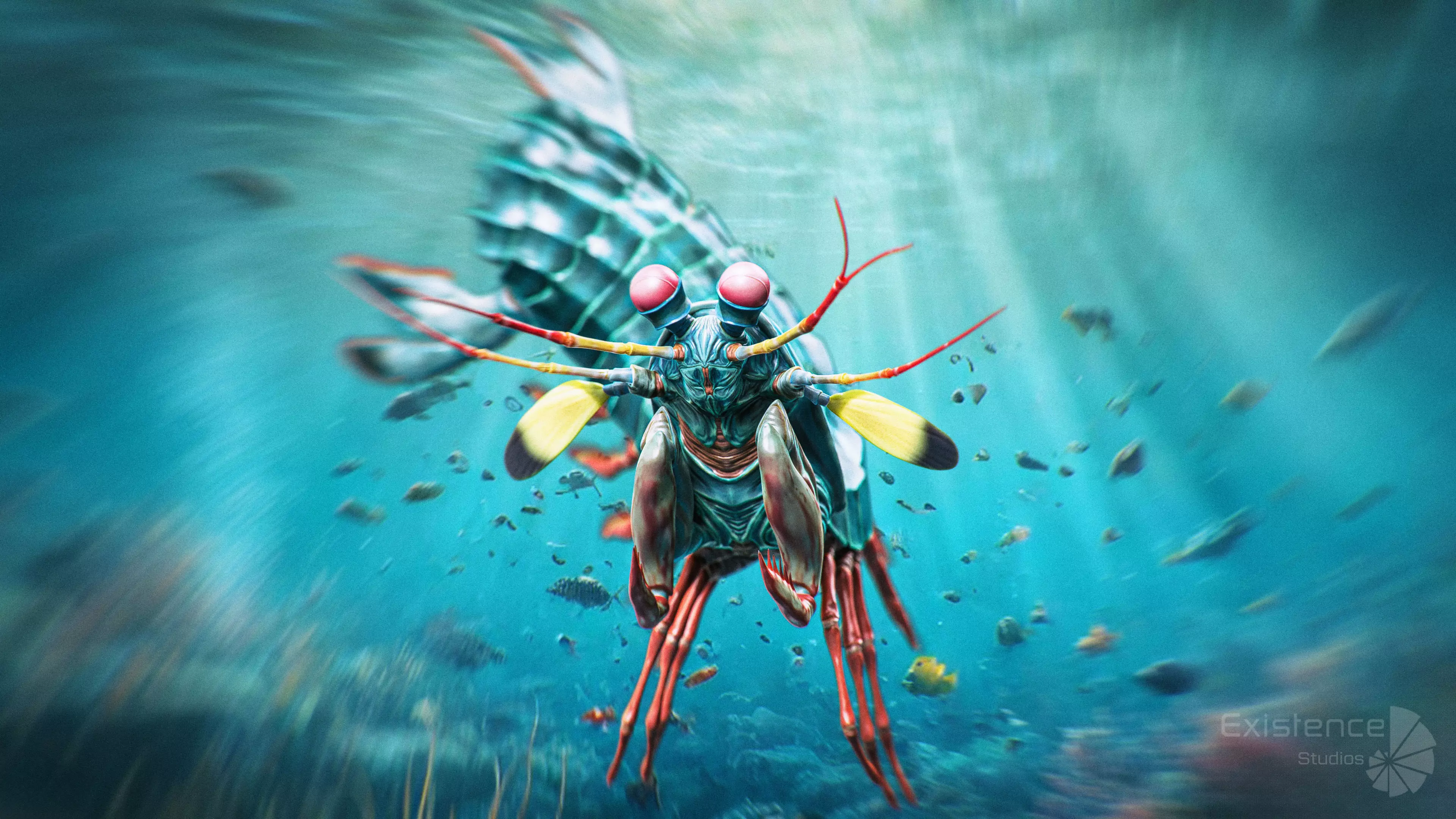 Crab - Coconut Crab - Mantis Shrimp - Sea Turtle - Nautilus - 70 Low-poly 3D model_23