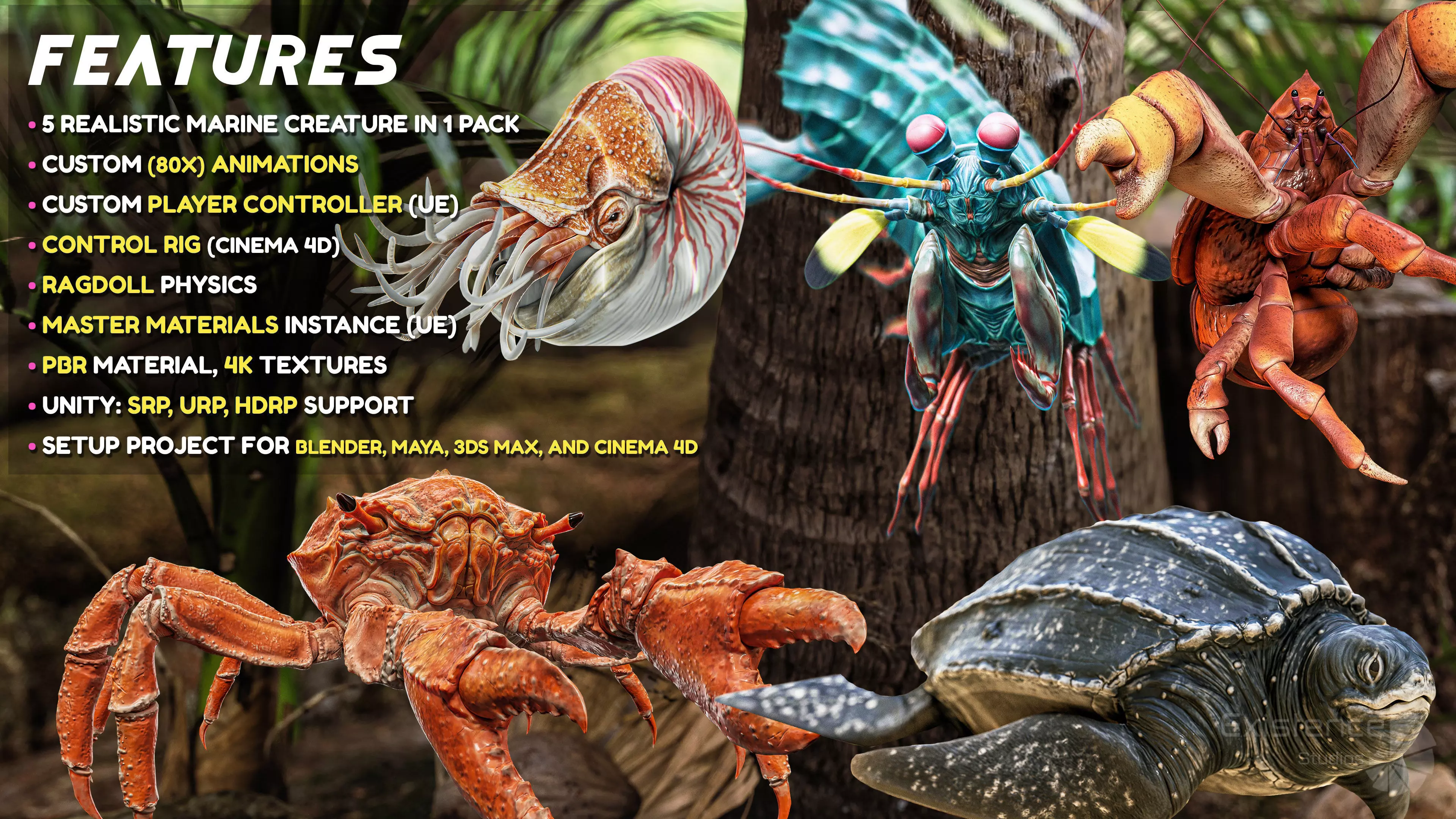 Crab - Coconut Crab - Mantis Shrimp - Sea Turtle - Nautilus - 70 Low-poly 3D model_3