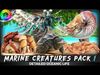 Crab - Coconut Crab - Mantis Shrimp - Sea Turtle - Nautilus - 70 Low-poly 3D model_1