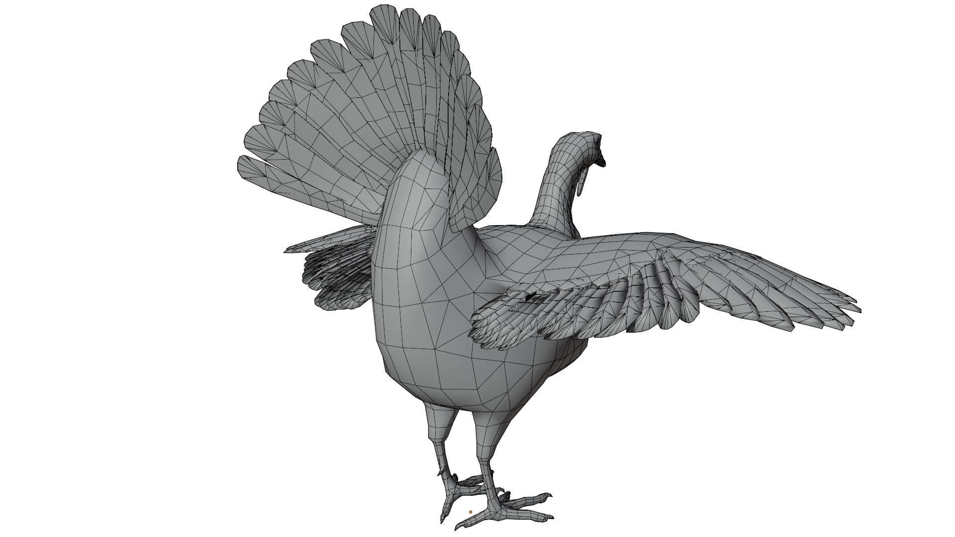 Turkey Bird 3D model_13