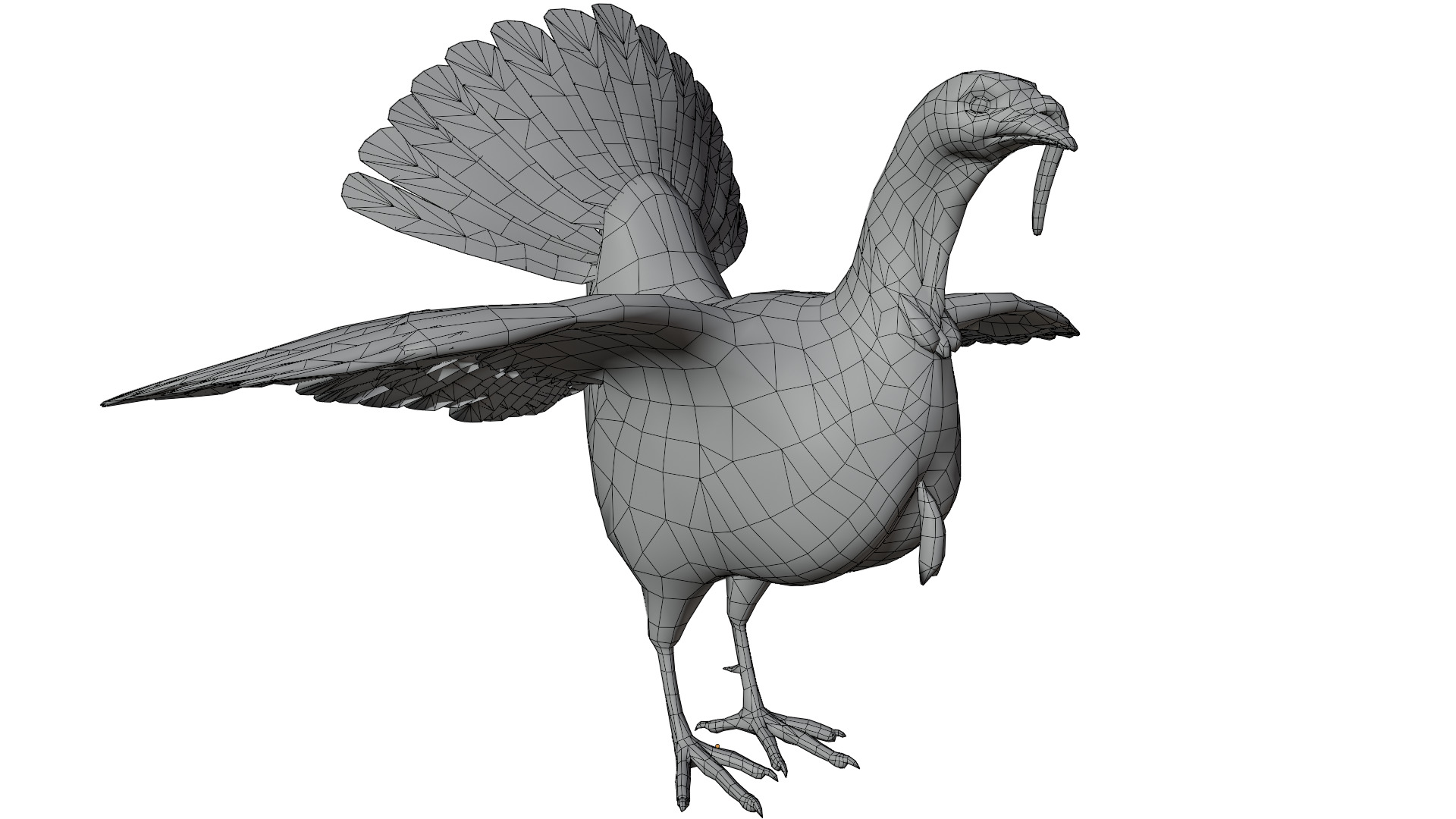 Turkey Bird 3D model_15