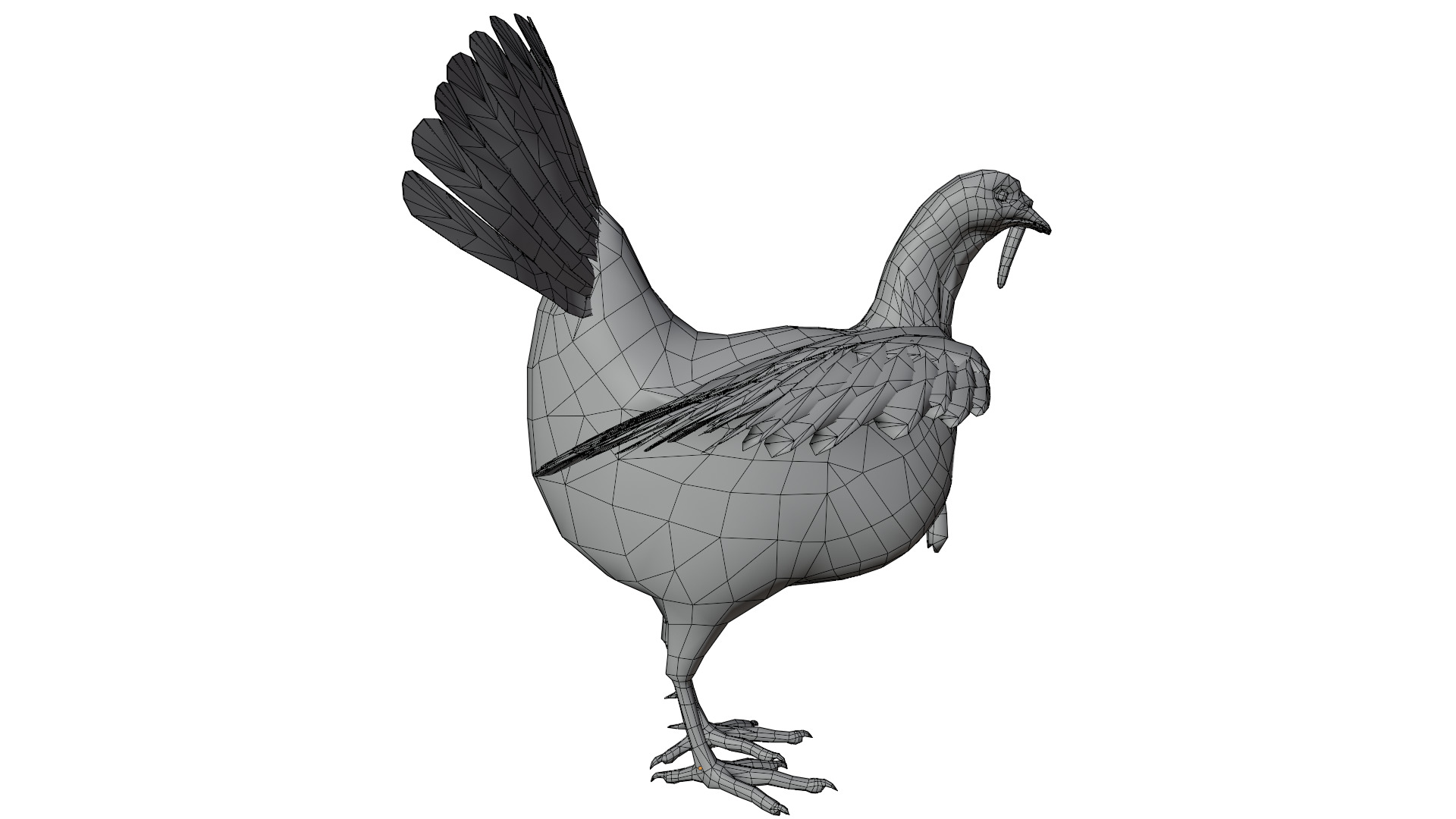 Turkey Bird 3D model_14