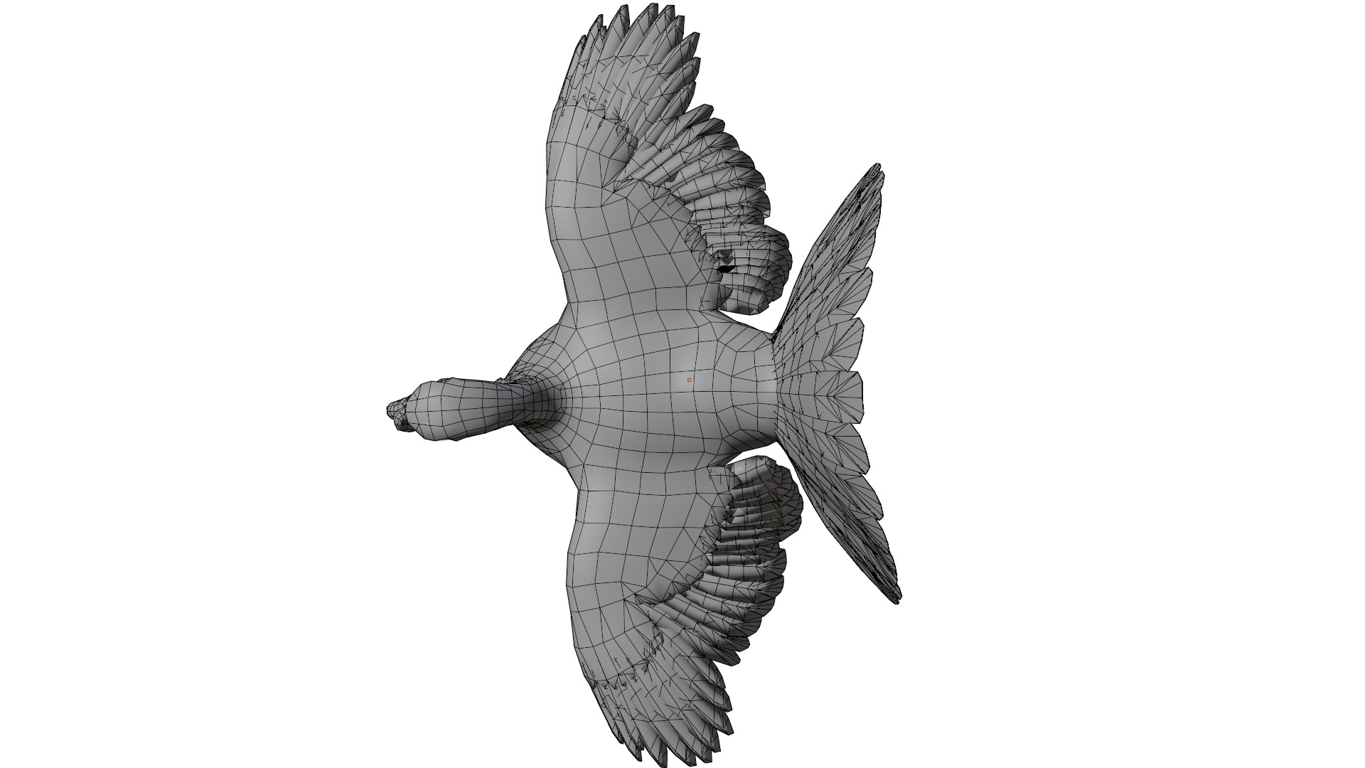 Turkey Bird 3D model_17