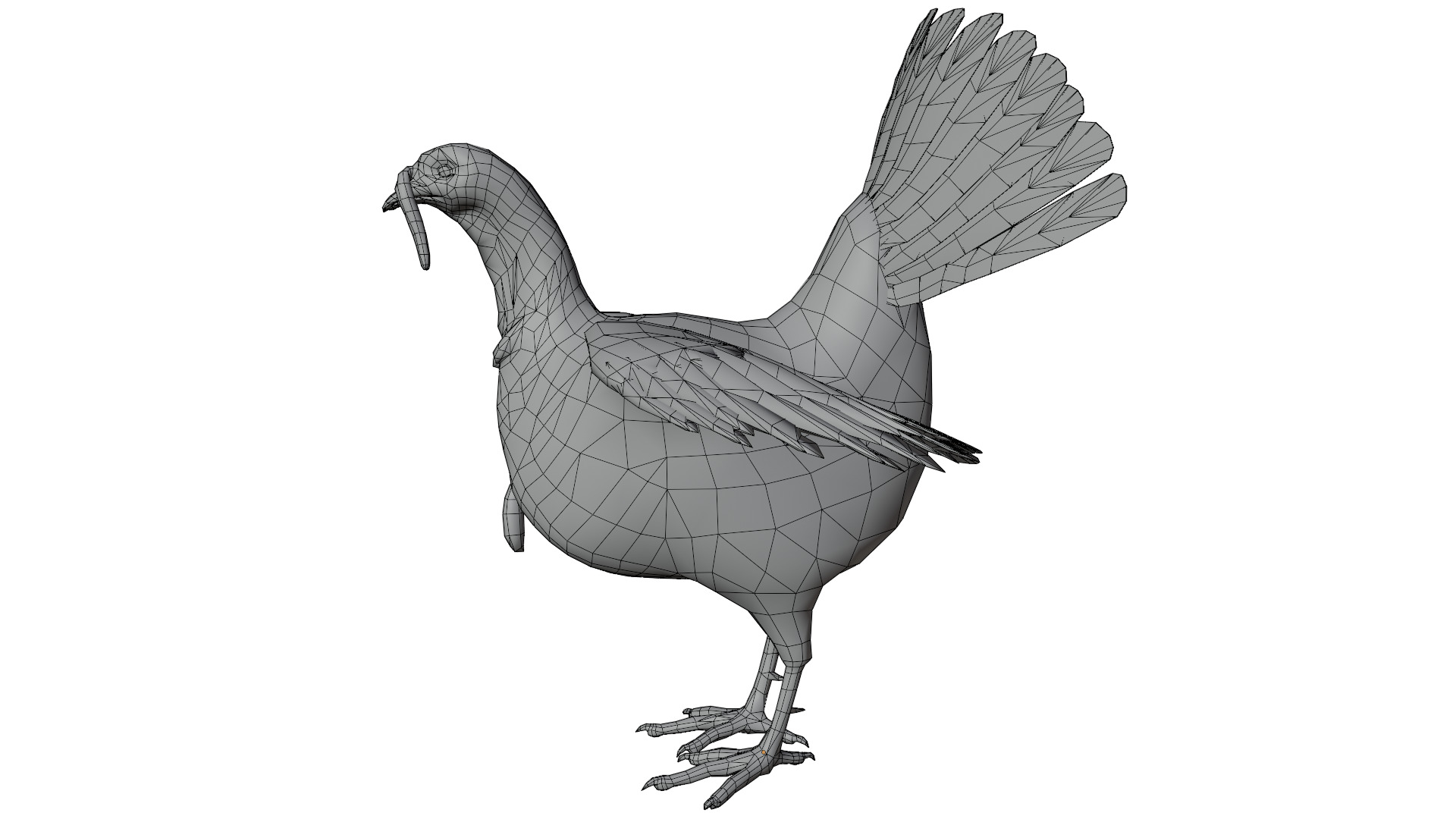 Turkey Bird 3D model_10