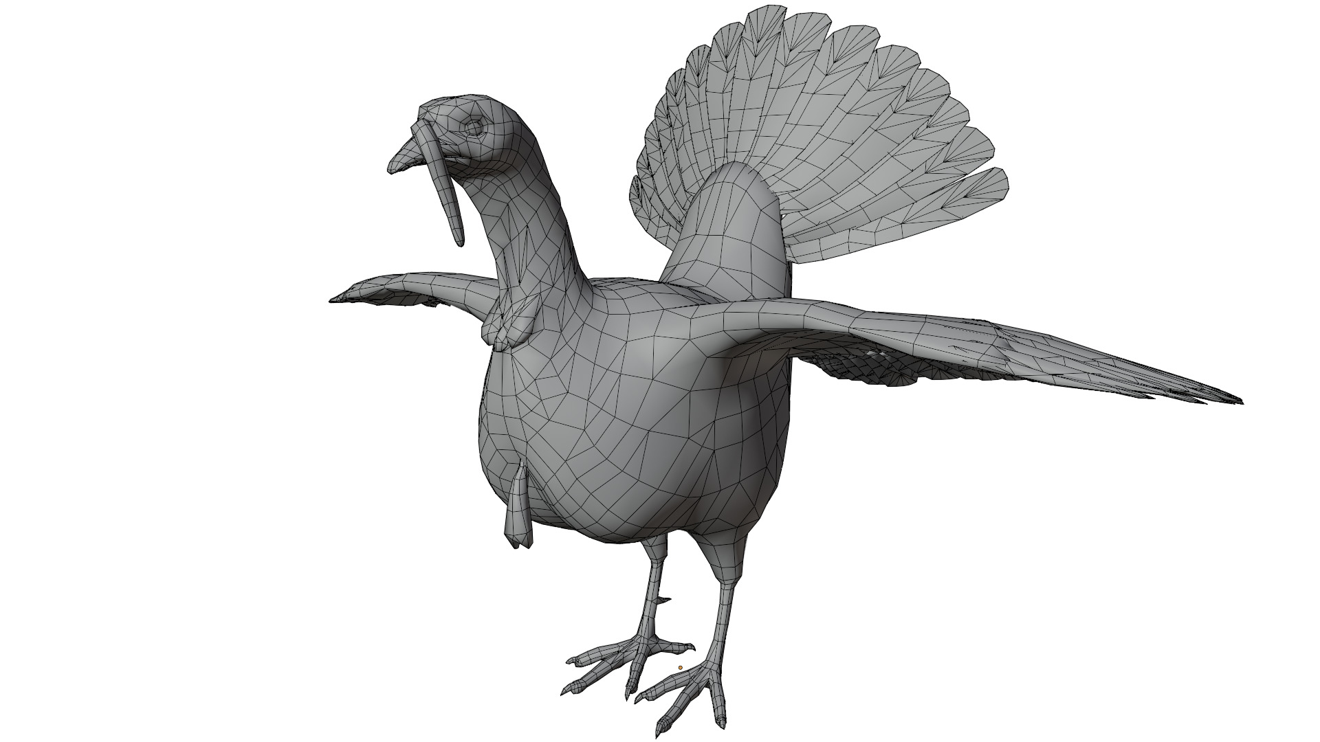 Turkey Bird 3D model_9