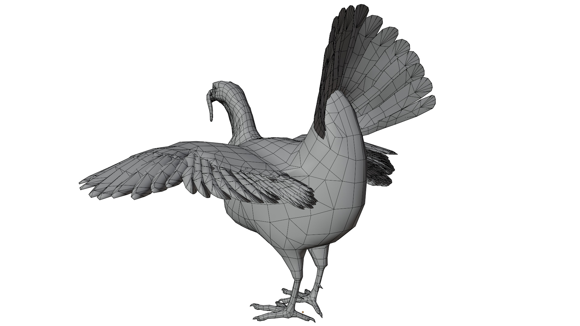 Turkey Bird 3D model_11
