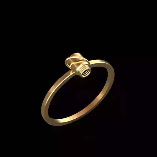 Minimalist Mechanical-Inspired Screw Ring  