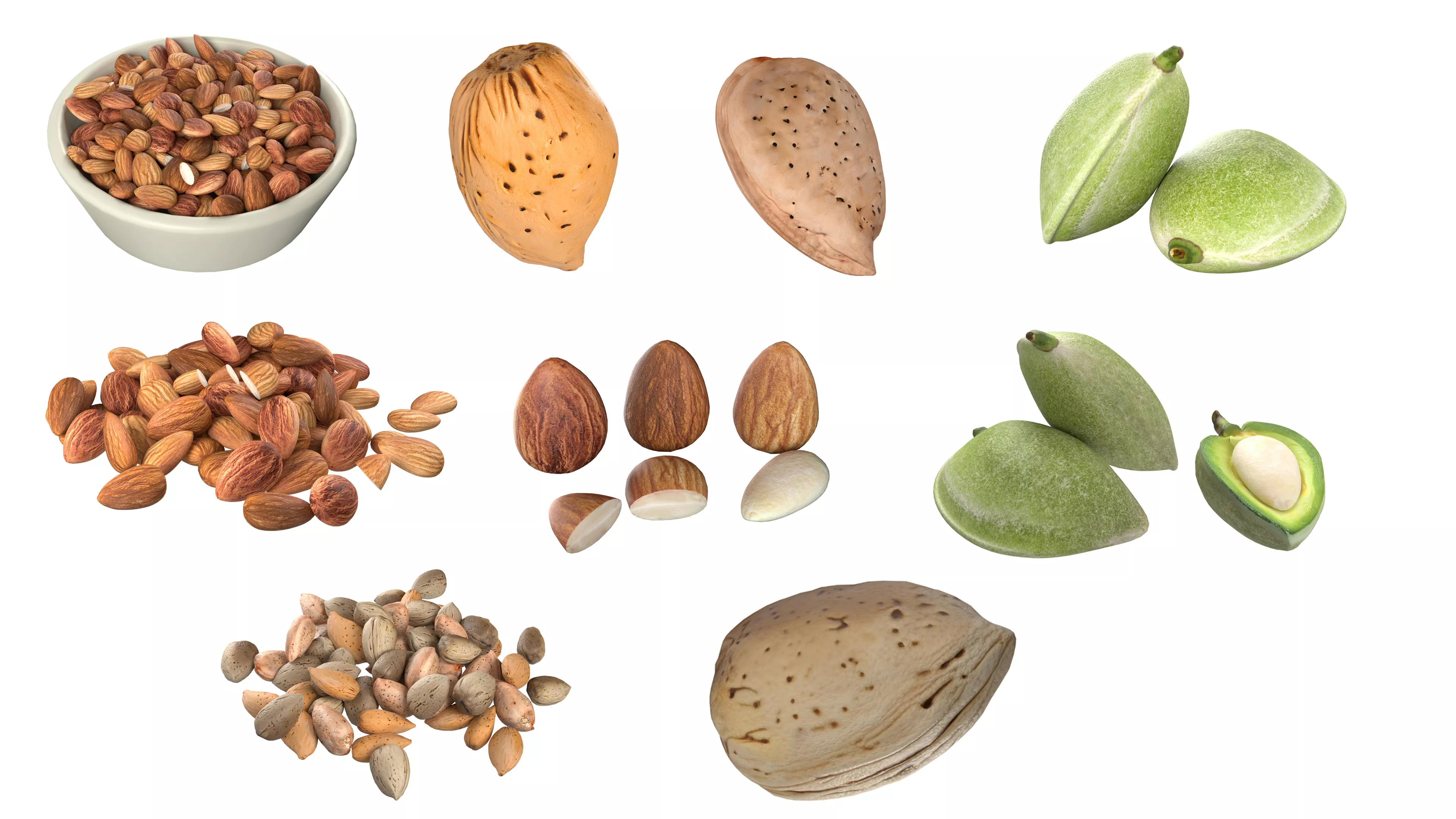 Almonds Collection Low-poly 3D model