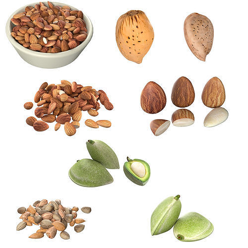 Almonds Collection Low-poly 3D model