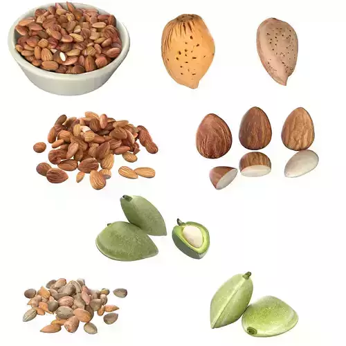 Almonds Collection Low-poly 3D model