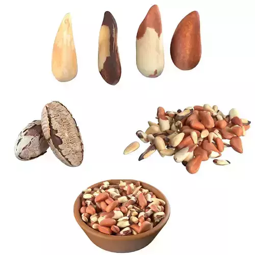 Brazilian nuts collection 