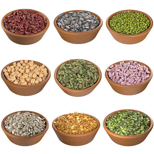 Bean and Seeds collection v1 Low-poly 3D model