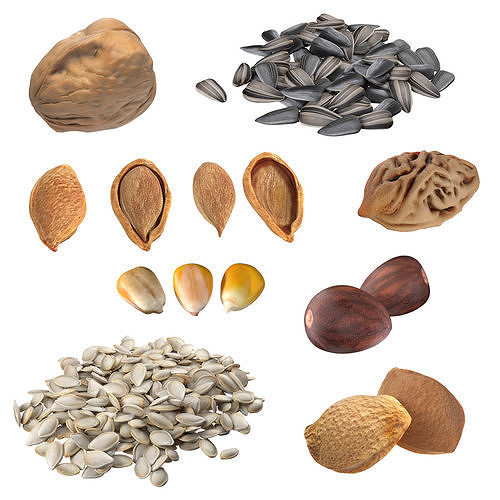  Seed Collection v2   Low-poly 3D model