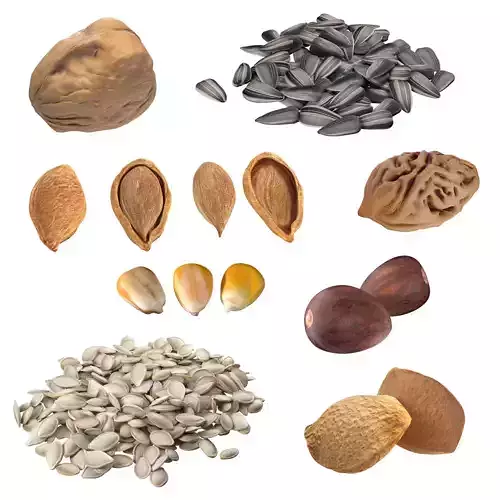  Seed Collection v2   Low-poly 3D model