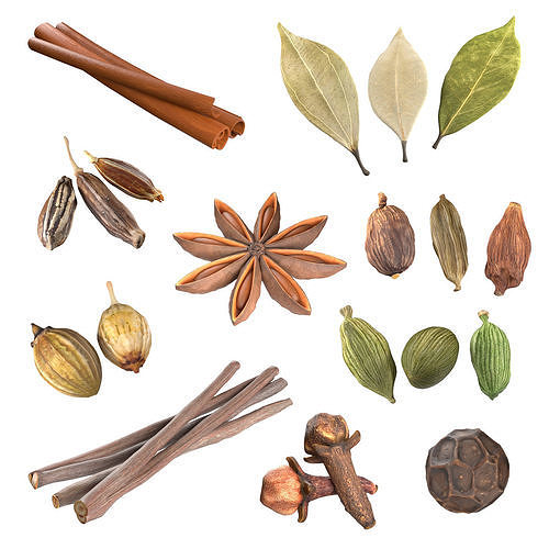 Spice Collection v1  Low-poly 3D model