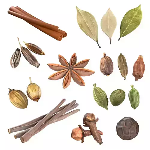 Spice Collection v1  Low-poly 3D model