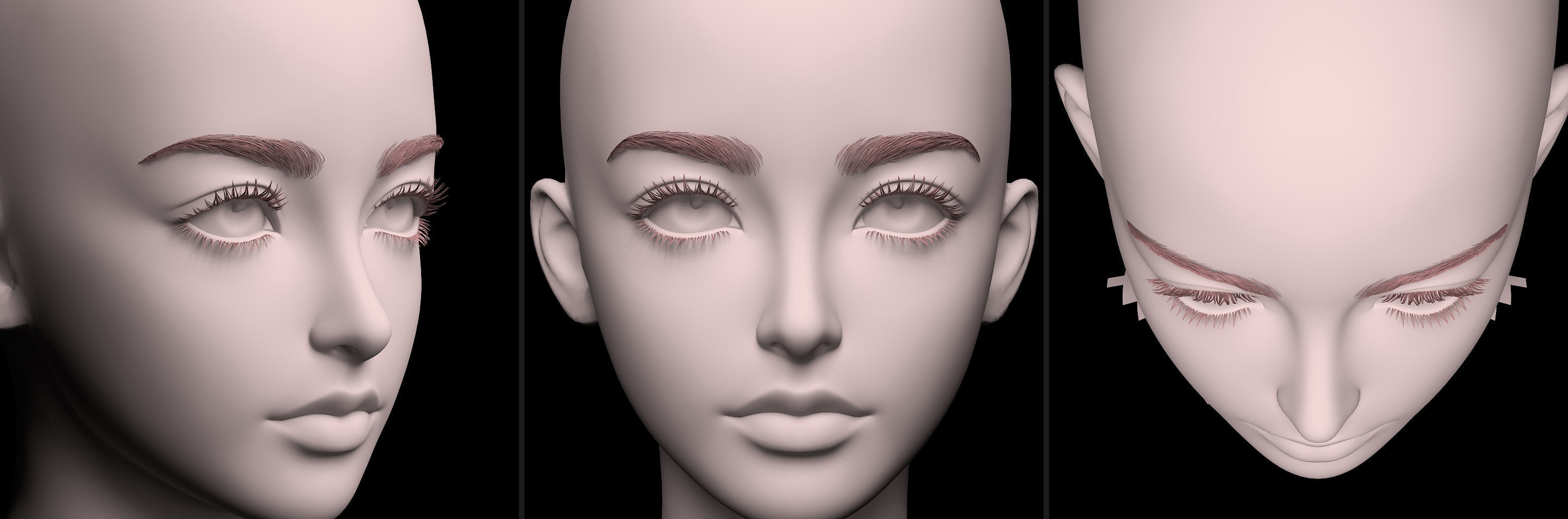 5 MESH Eyelash Eyelashes Model pack 1  3D model_5