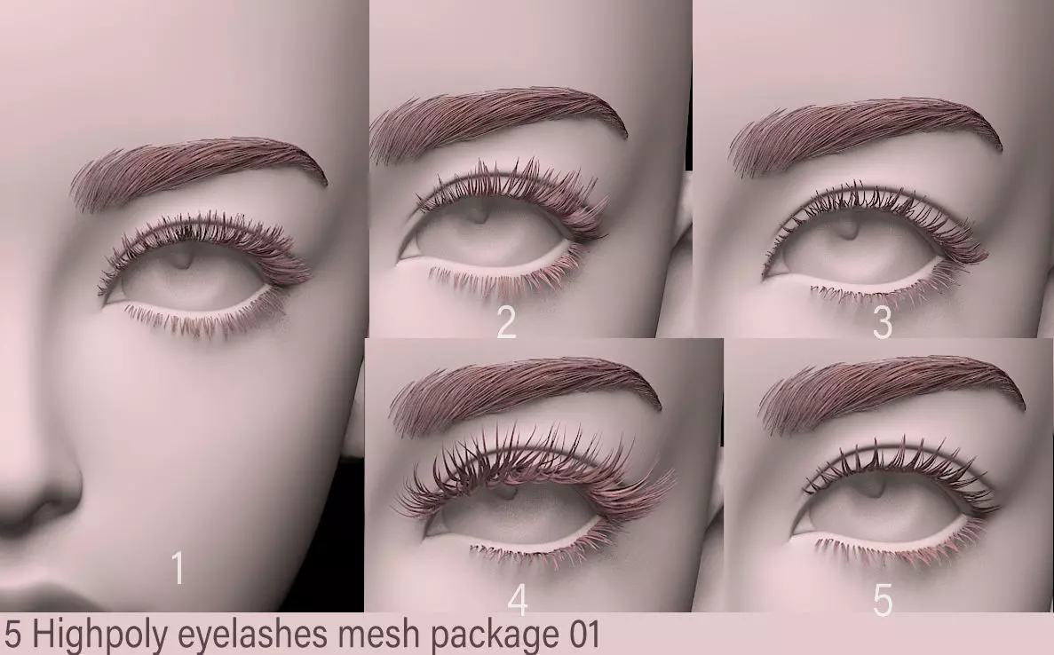5 MESH Eyelash Eyelashes Model pack 1  3D model_0