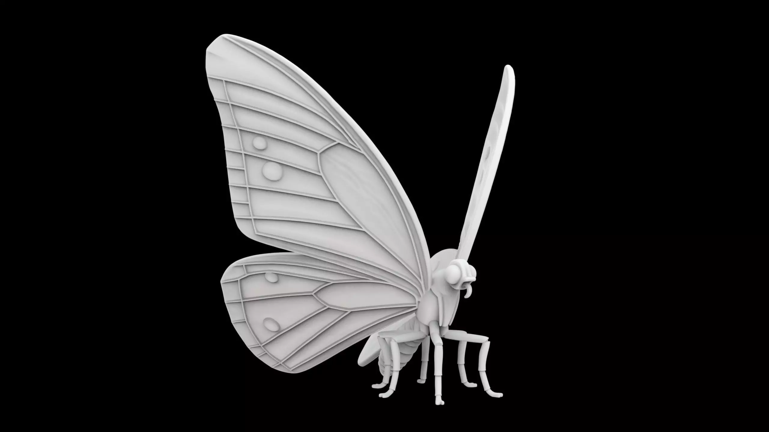 Butterfly 3D Print Model Detailed 3D print model
