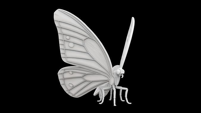 Butterfly 3D Print Model Detailed 3D print model