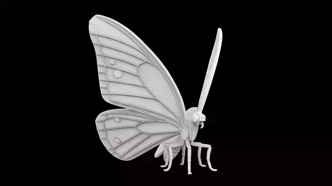 Butterfly 3D Print Model Detailed
