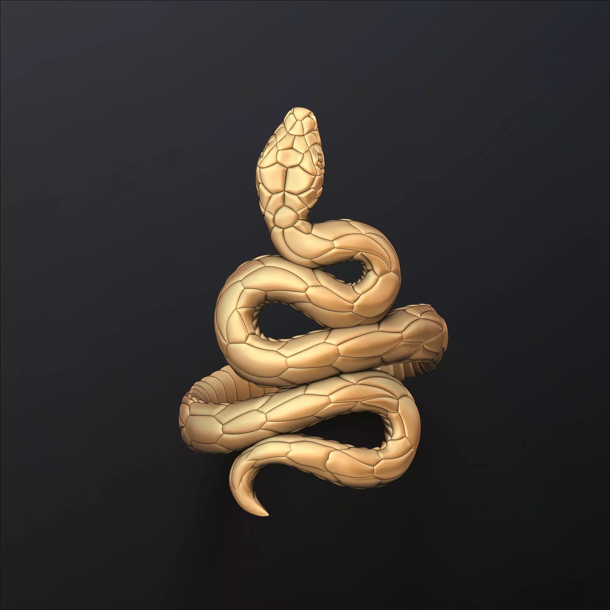 Snake Ring v3 3D print model_0
