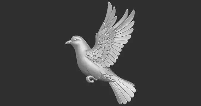 Pigeon Dove