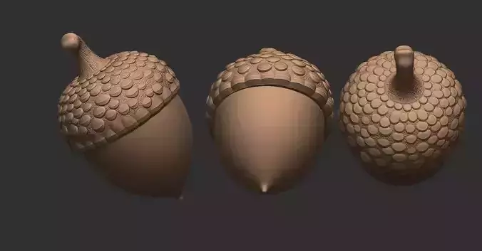 Acorn STL High Quality 3D Printable Model