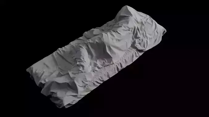 Single Bed with Sleeping Person Low-Poly